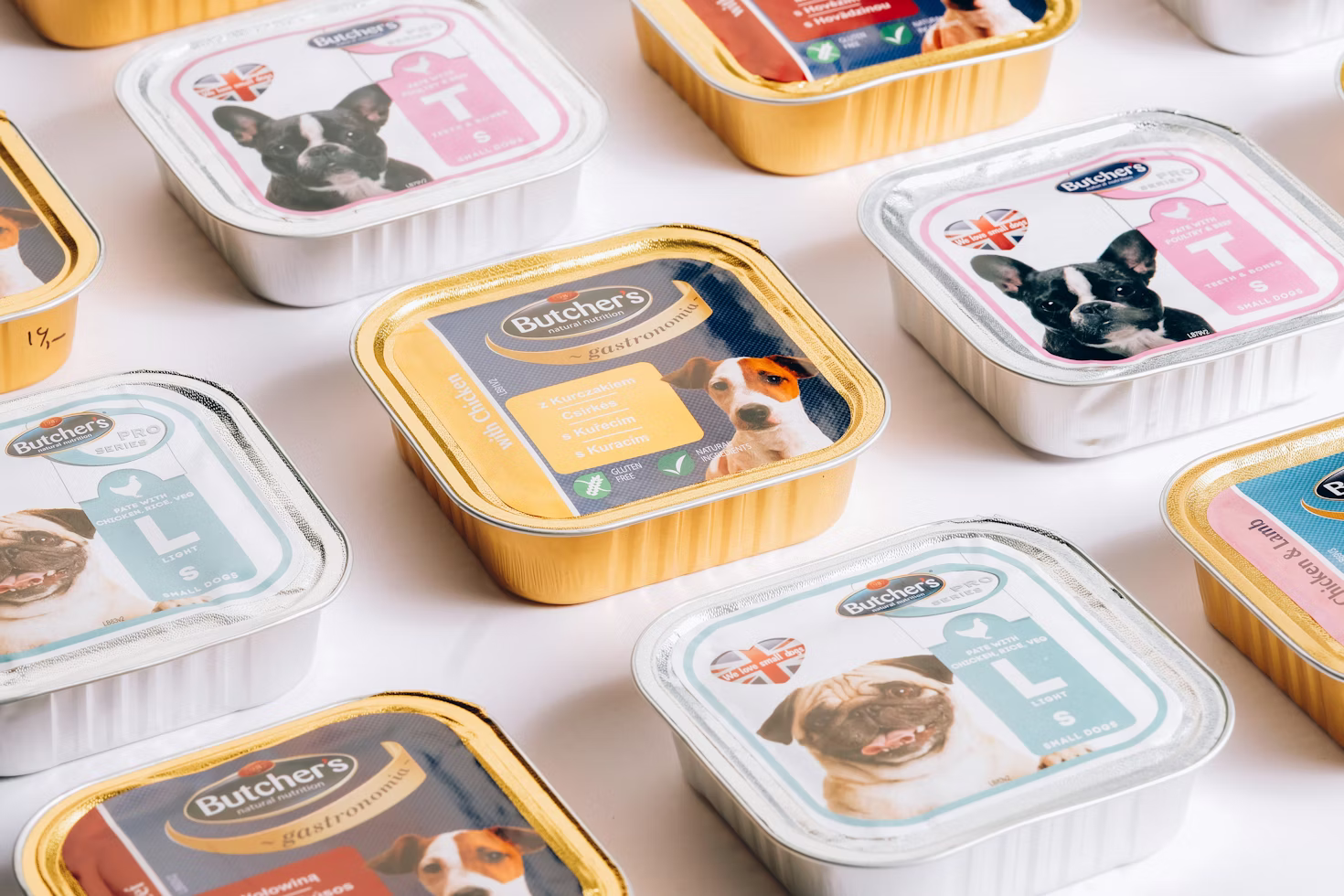 Can cats eat dog food