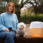 collapsible dog crate vs metal crate