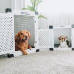 dog crate guide